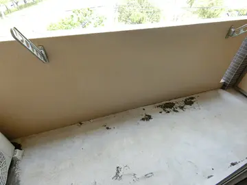 LEAD IN AIS鹿大前 5-A号室