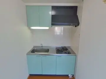 サテンドール黒髪 1001号室