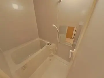 サテンドール黒髪 1001号室