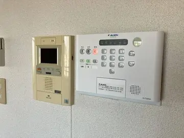 サテンドール黒髪 1001号室