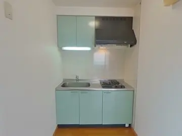 サテンドール黒髪 301号室